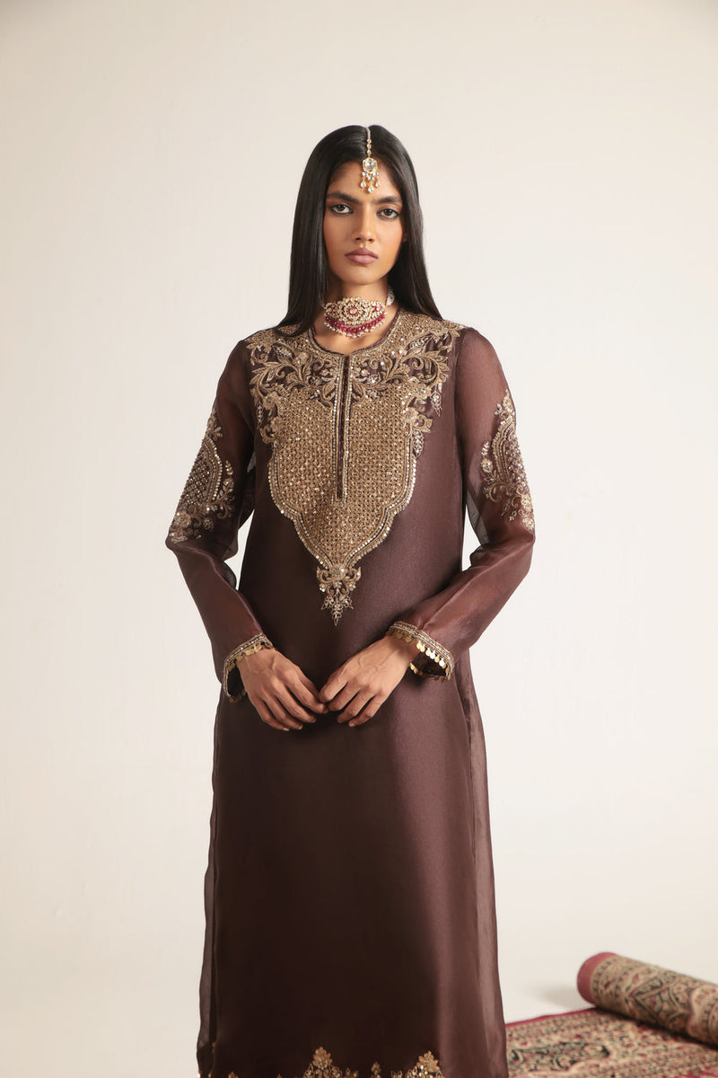 Zar-Rang Brown Straight Kurta Set organza, silk tencel kurta/kurta set by Niti Bothra in brown for women in Singapore
