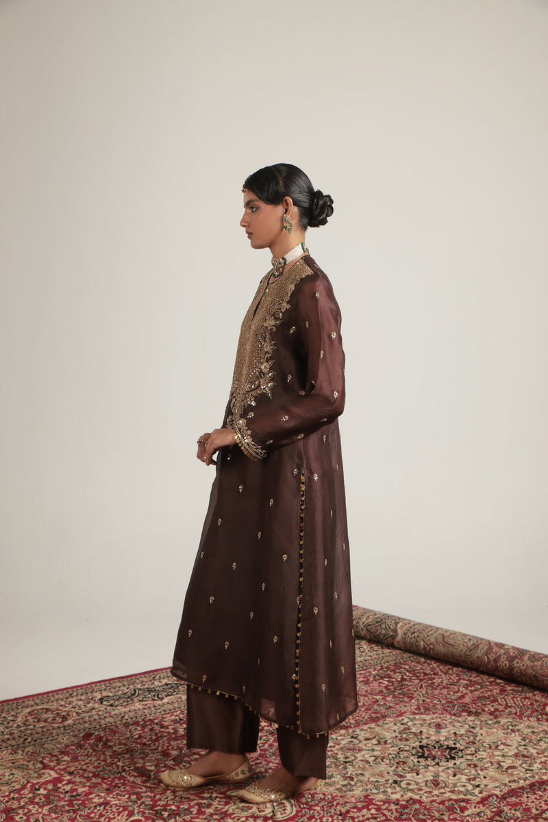 Zar-Rang Brown Long Kurta Set organza, silk tencel kurta/kurta set by Niti Bothra in brown for women in Singapore