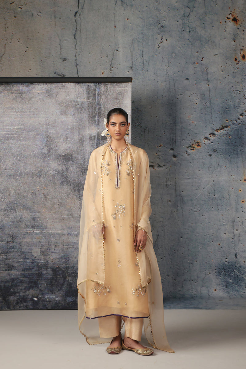 Zar-Rang Ivory Phool Kurta Set organza, silk tencel kurta/kurta set by Niti Bothra in ivory for women in Singapore