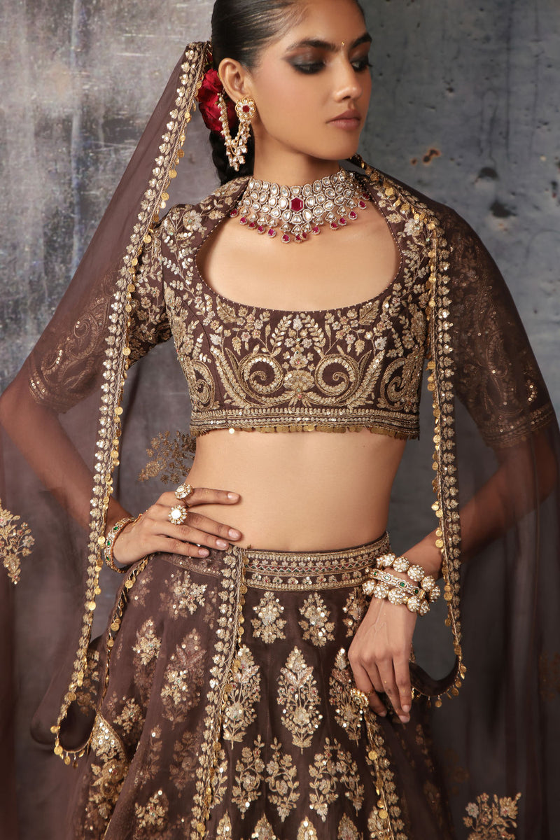 Zar-Rang Brown Jaal Lehenga Set organza Lehenga Set by Niti Bothra in brown for women in Singapore