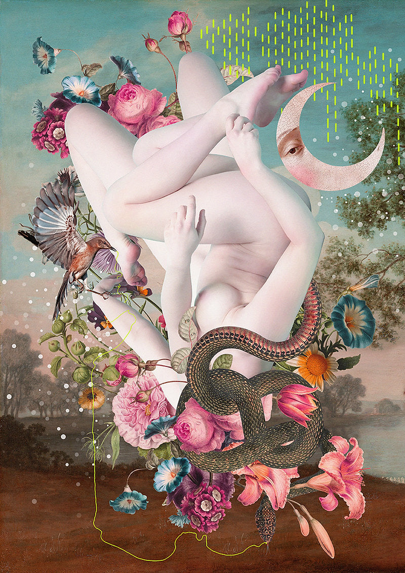Entropy