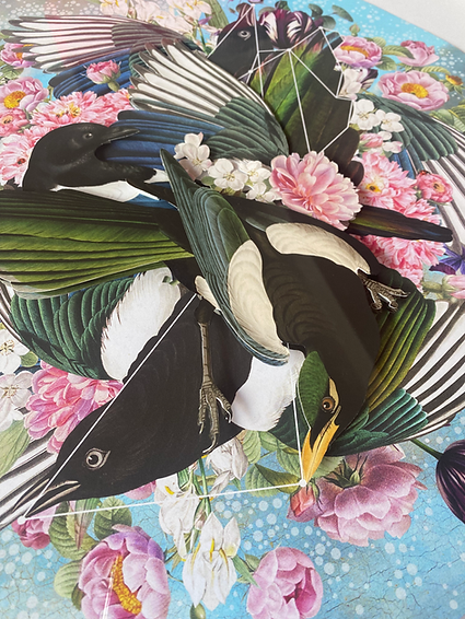 Between the land and the sea, light is born