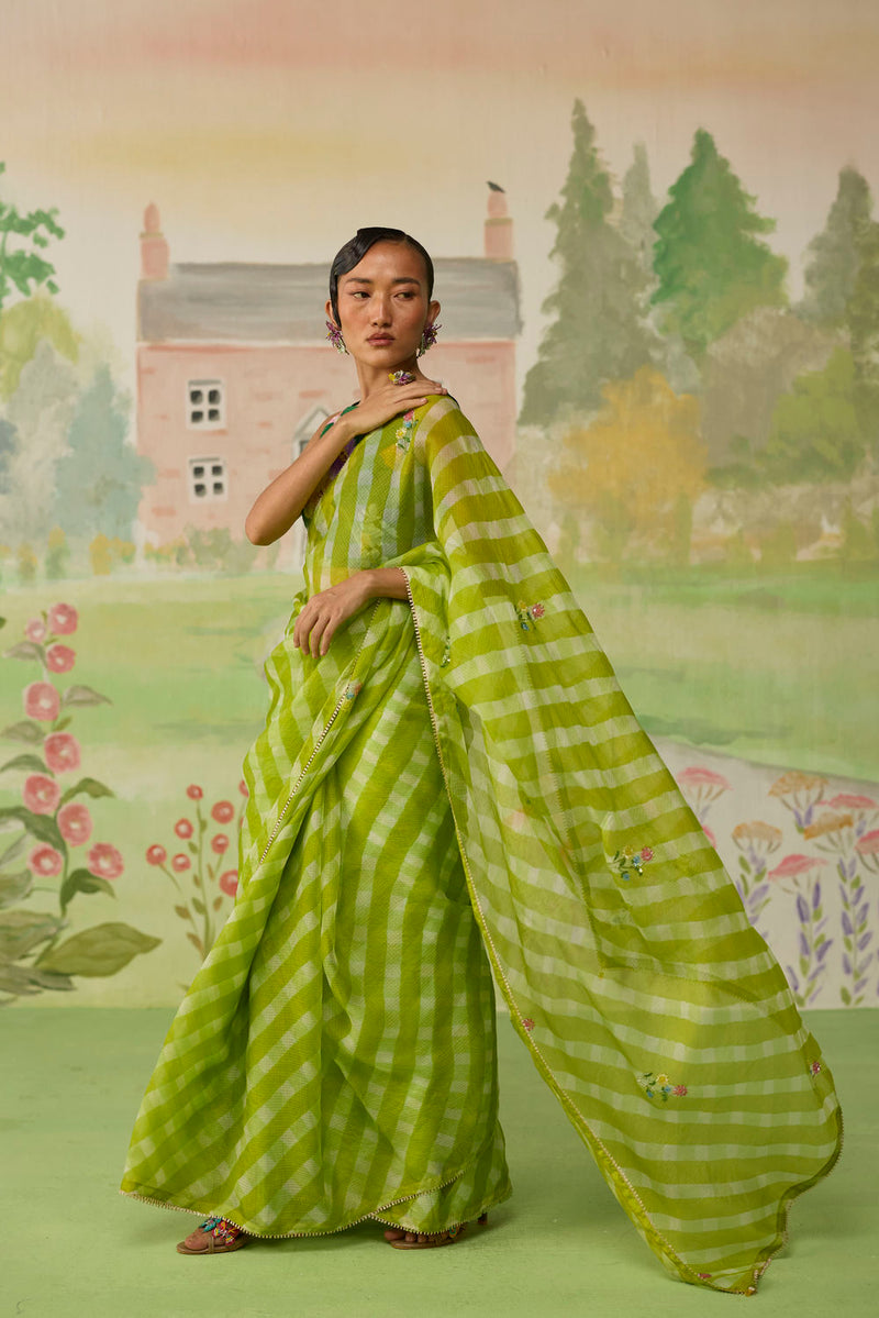 Trellis Green Kota Doria Silk Lehriya Mothra Sari silk saree by Nadiya Paar in green for women in Singapore