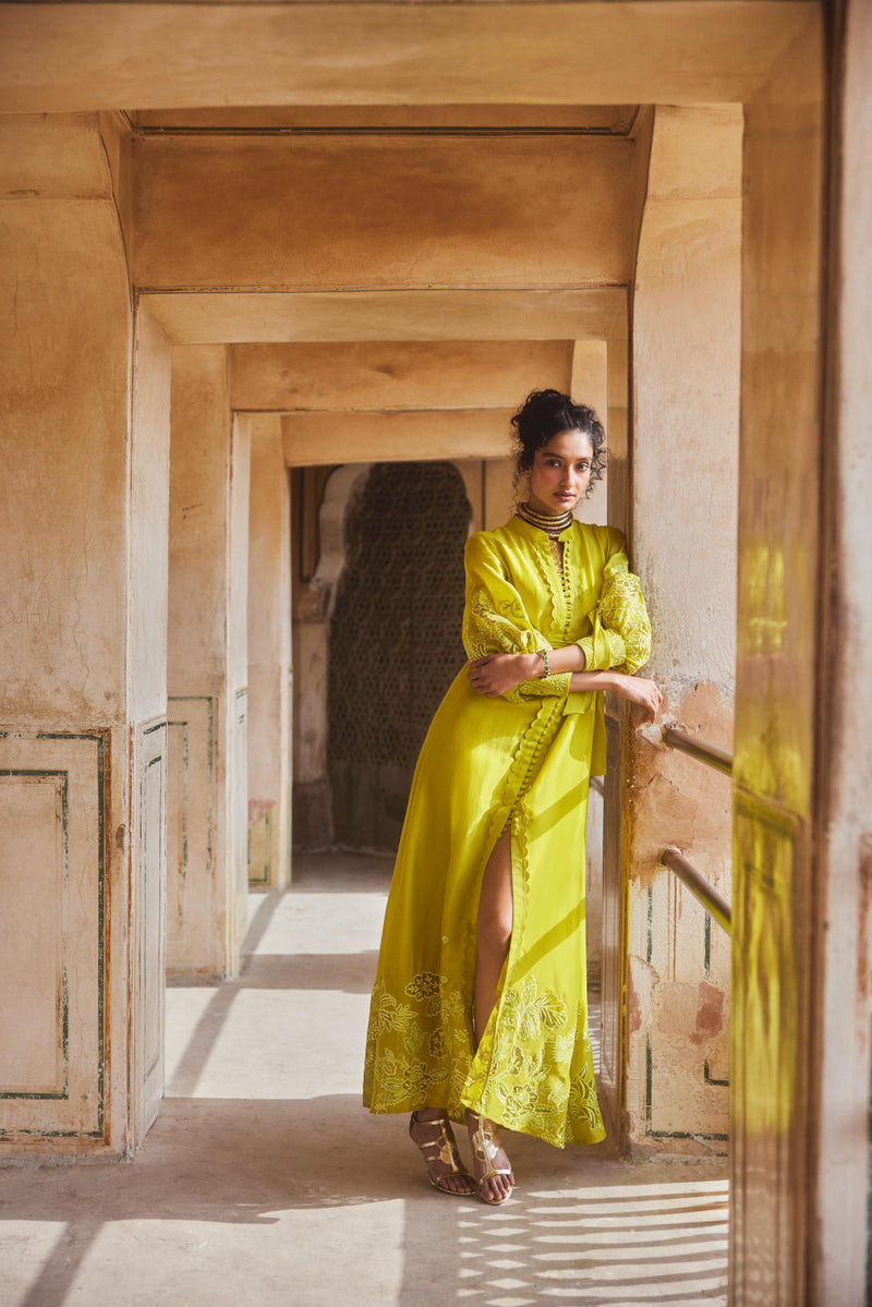 PH-2309 
Maxi-Lime yellow organza by Paulmi & Harsh in yellow color for women in Singapore