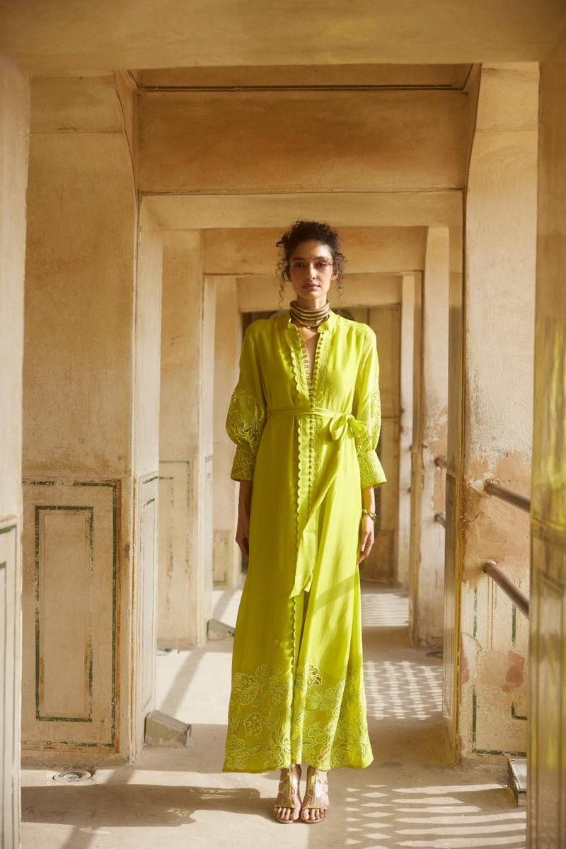 PH-2309 
Maxi-Lime yellow organza by Paulmi & Harsh in yellow color for women in Singapore