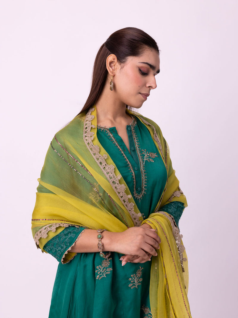 Vadha Dupatta organza dupatta by Shades of India in yellow for women in Singapore