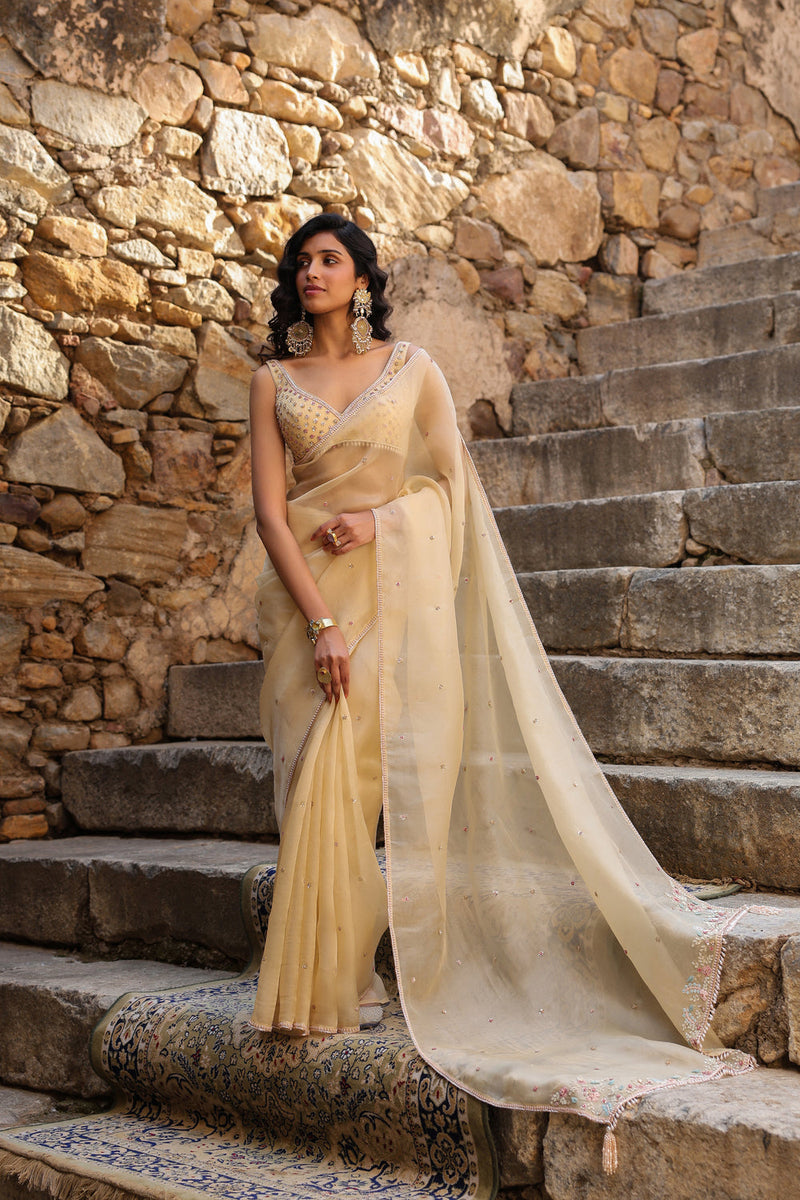Vaayu Beige Multicolor Butti Saree Set organza saree by Niti Bothra in beige for women in Singapore
