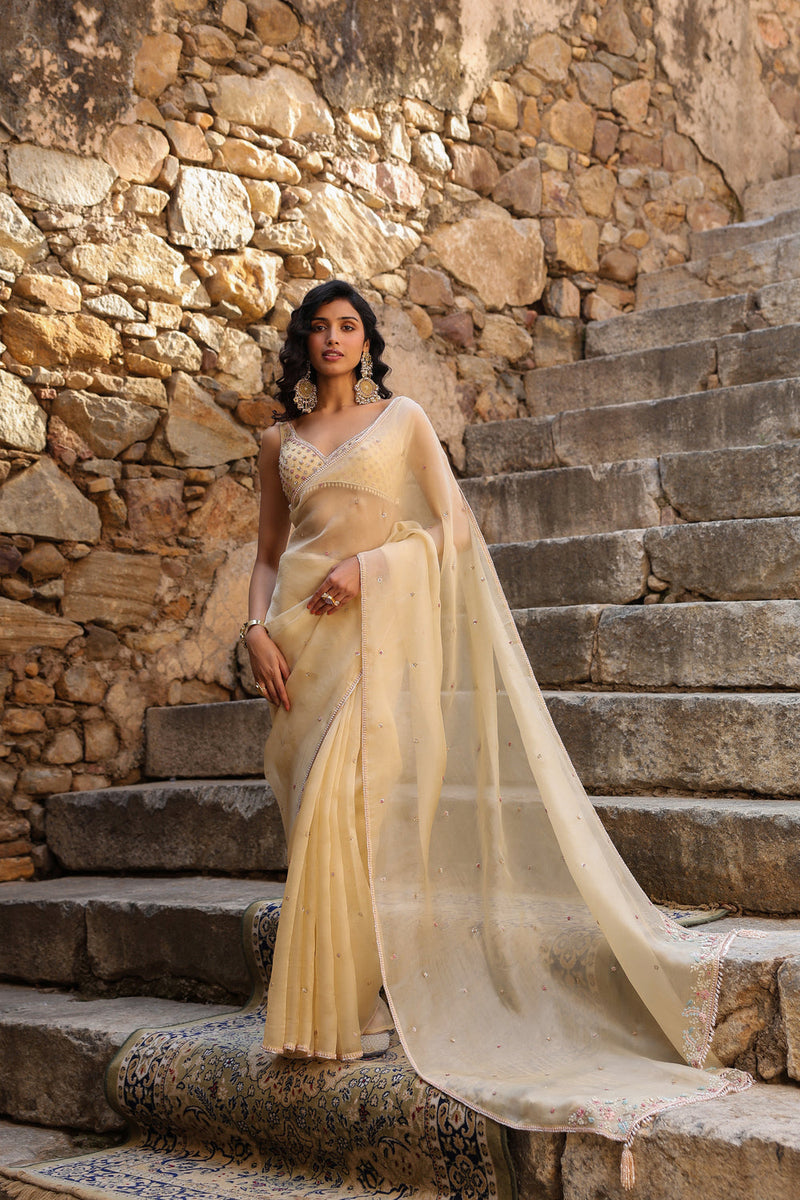 Vaayu Beige Multicolor Butti Saree Set organza saree by Niti Bothra in beige for women in Singapore