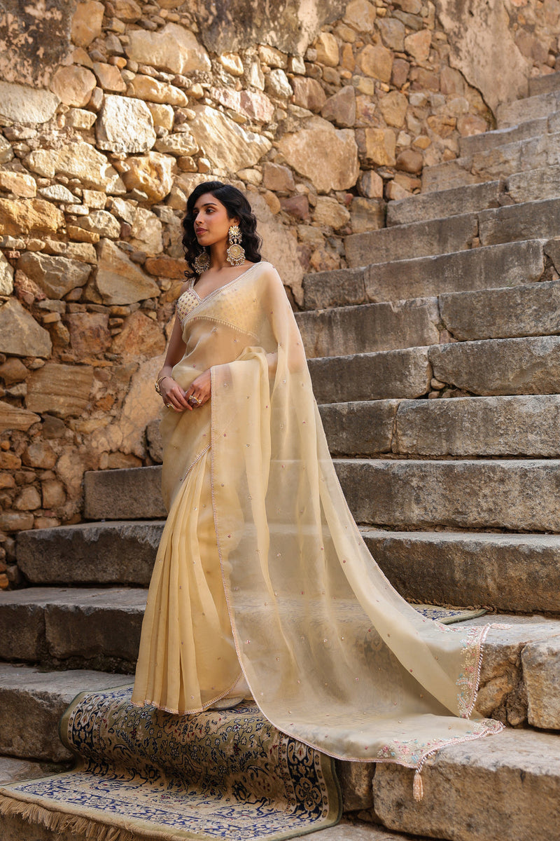 Vaayu Beige Multicolor Butti Saree Set organza saree by Niti Bothra in beige for women in Singapore