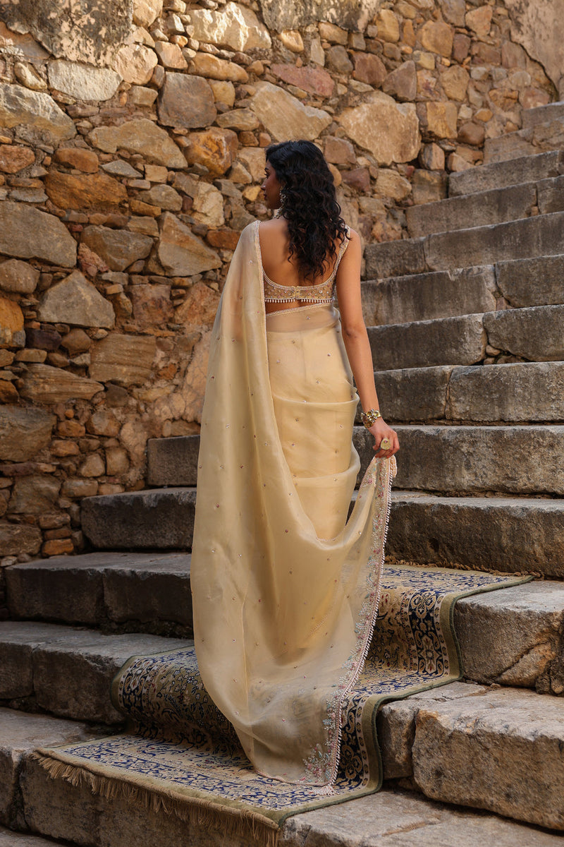 Vaayu Beige Multicolor Butti Saree Set organza saree by Niti Bothra in beige for women in Singapore