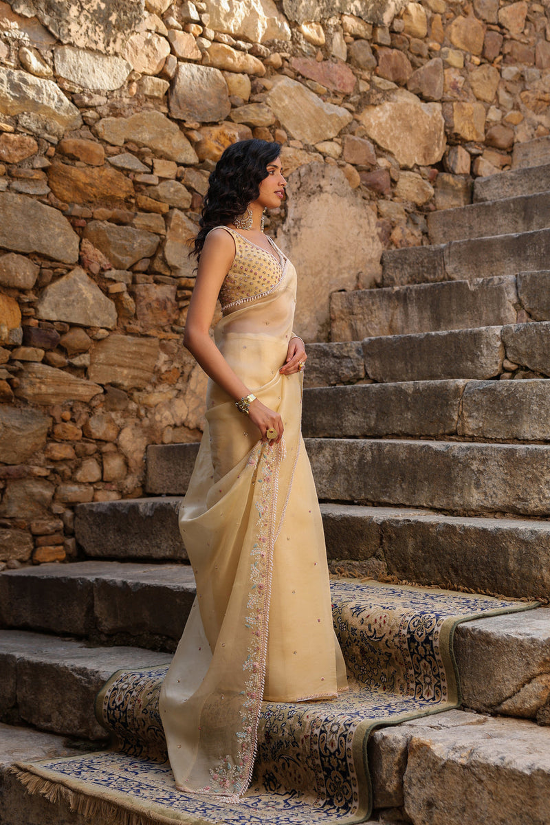 Vaayu Beige Multicolor Butti Saree Set organza saree by Niti Bothra in beige for women in Singapore