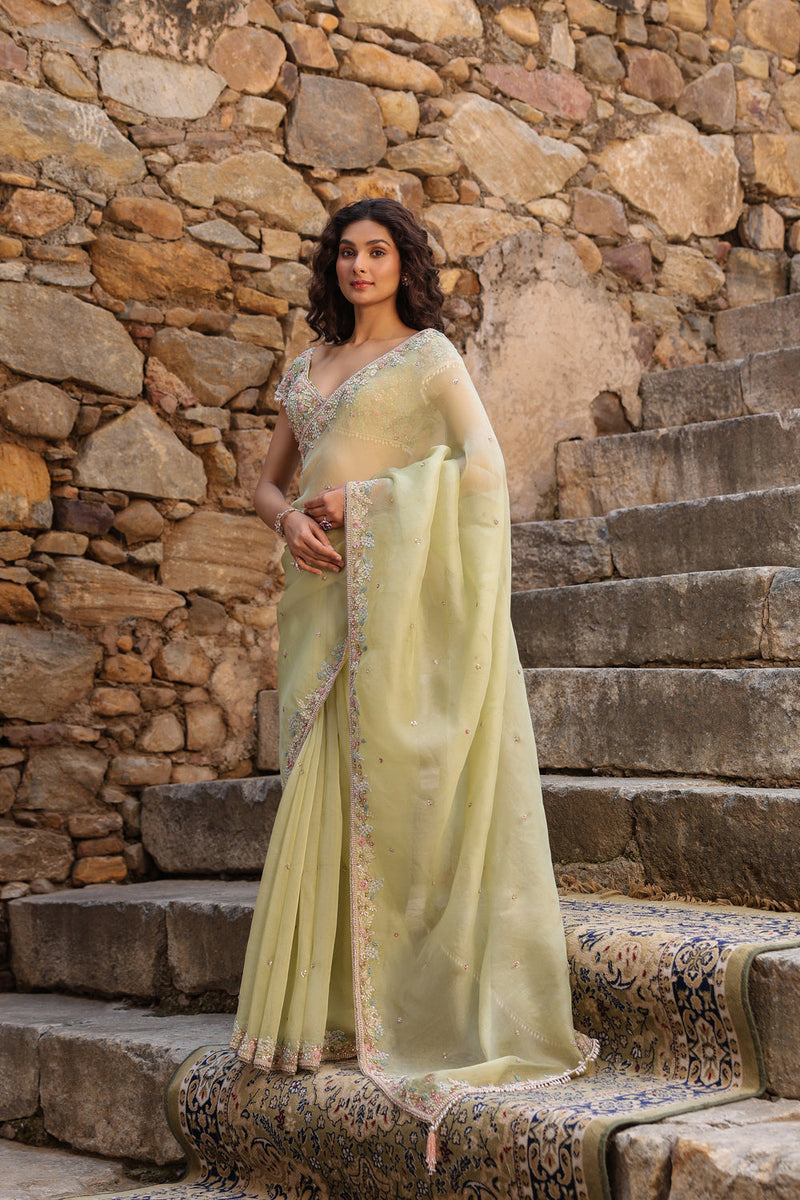 Vaayu Green Multicolor Border Saree Set organza saree by Niti Bothra in green for women in Singapore