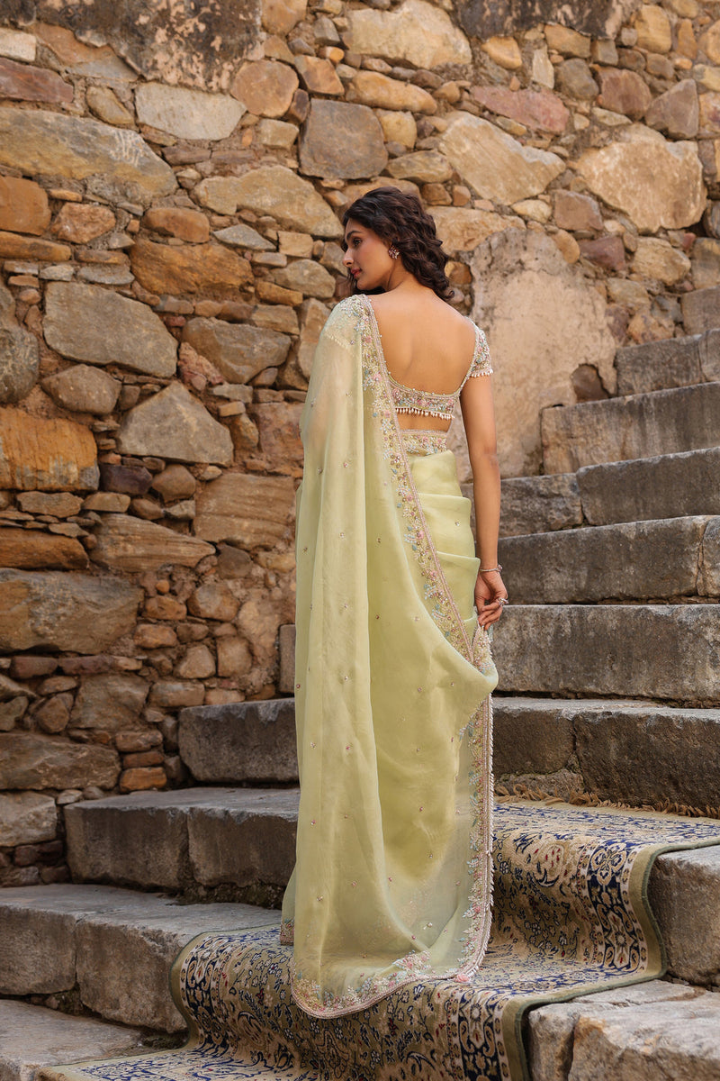 Vaayu Green Multicolor Border Saree Set organza saree by Niti Bothra in green for women in Singapore