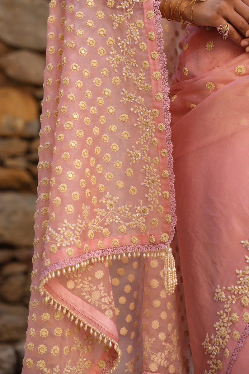 Vaayu Pink Heavy Butti Jaal Saree Set organza saree by Niti Bothra in pink for women in Singapore