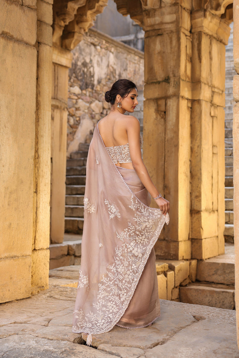 Vaayu Taupe Applique Corset Saree Set organza saree by Niti Bothra in taupe for women in Singapore