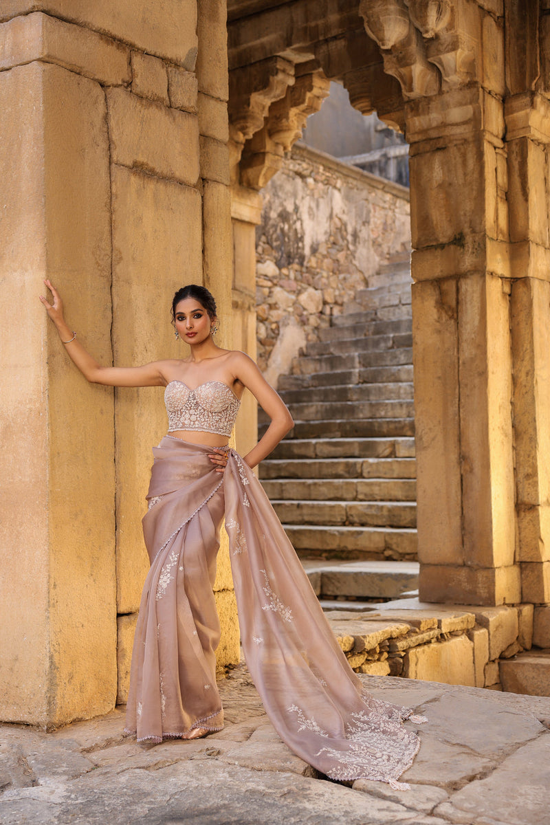 Vaayu Taupe Applique Corset Saree Set organza saree by Niti Bothra in taupe for women in Singapore