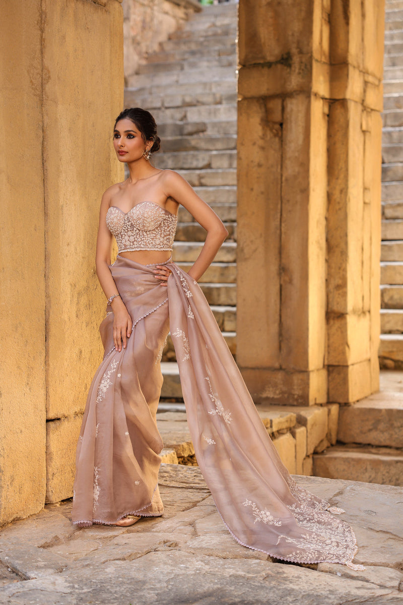 Vaayu Taupe Applique Corset Saree Set organza saree by Niti Bothra in taupe for women in Singapore