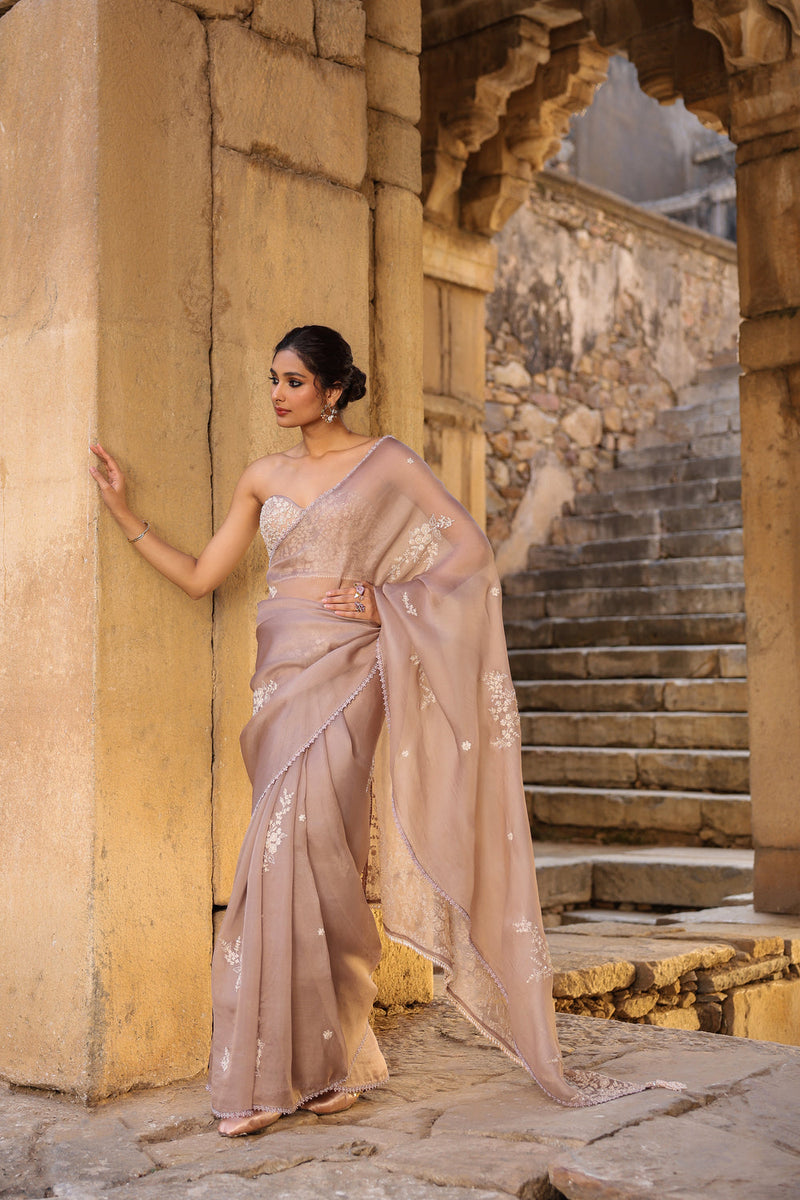Vaayu Taupe Applique Corset Saree Set organza saree by Niti Bothra in taupe for women in Singapore