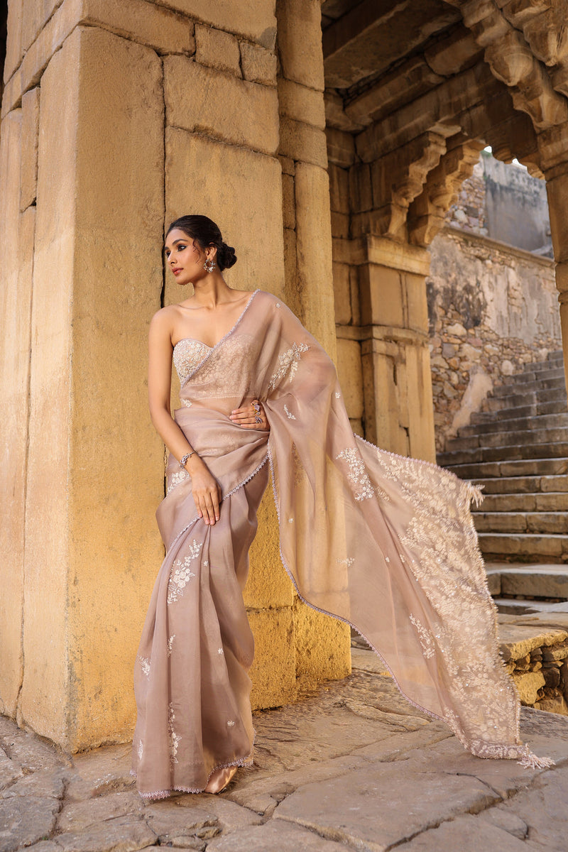 Vaayu Taupe Applique Corset Saree Set organza saree by Niti Bothra in taupe for women in Singapore