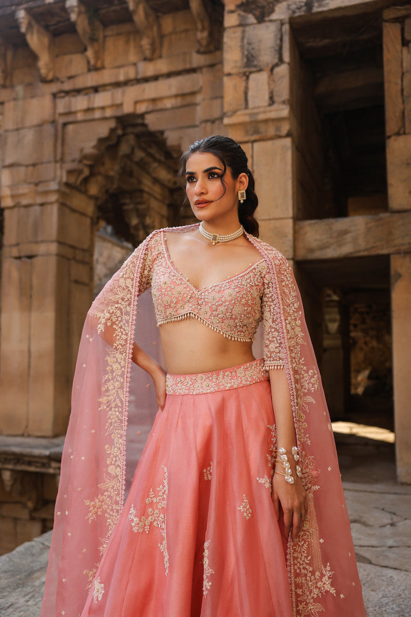 Vaayu Pink Guldasta Lehenga Set organza lehenga sets by Niti Bothra in pink for women in Singapore