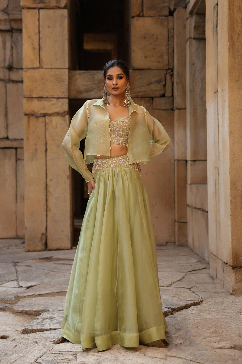 Vaayu Green Jacket Lehenga Set organza lehenga sets by Niti Bothra in green for women in Singapore