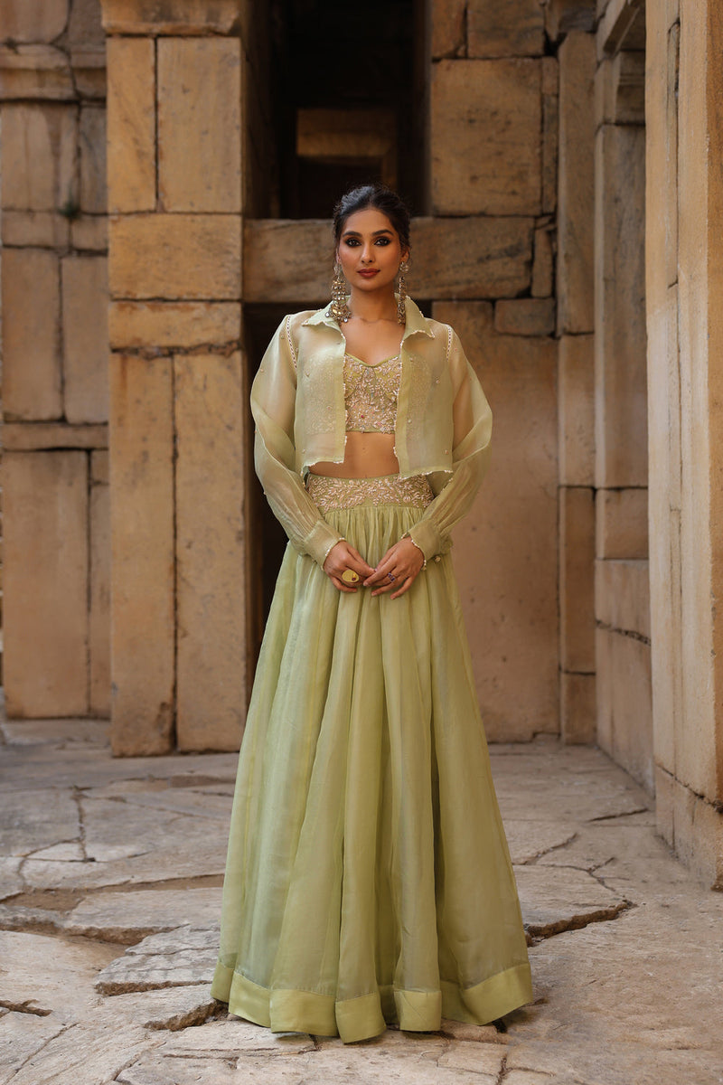 Vaayu Green Jacket Lehenga Set organza lehenga sets by Niti Bothra in green for women in Singapore