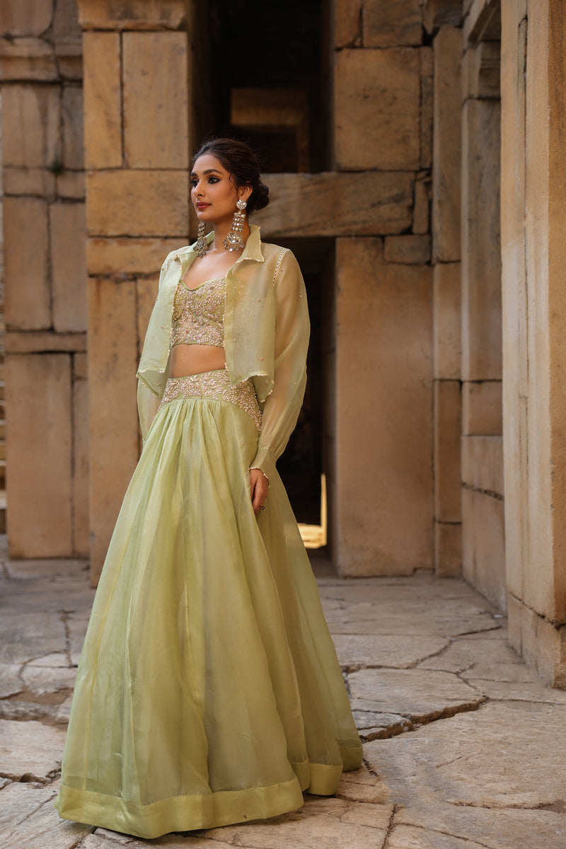Vaayu Green Jacket Lehenga Set organza lehenga sets by Niti Bothra in green for women in Singapore