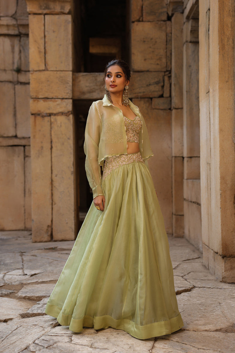 Vaayu Green Jacket Lehenga Set organza lehenga sets by Niti Bothra in green for women in Singapore