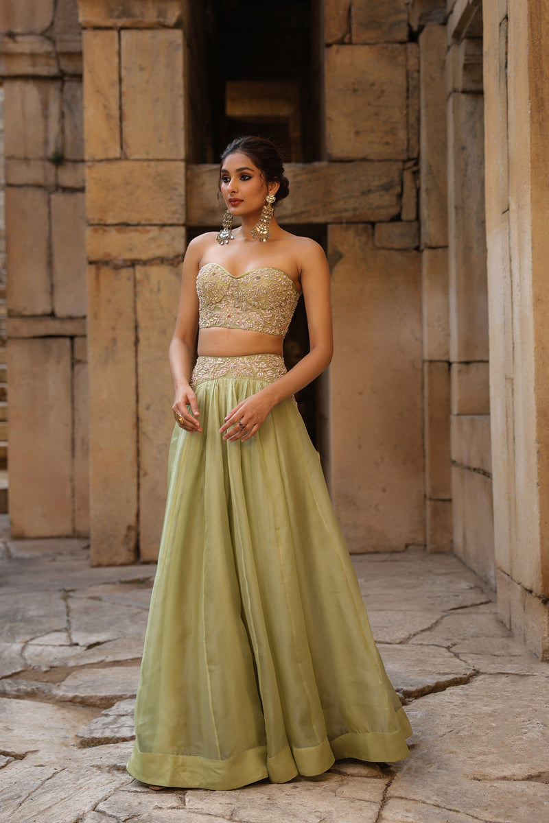 Vaayu Green Jacket Lehenga Set organza lehenga sets by Niti Bothra in green for women in Singapore