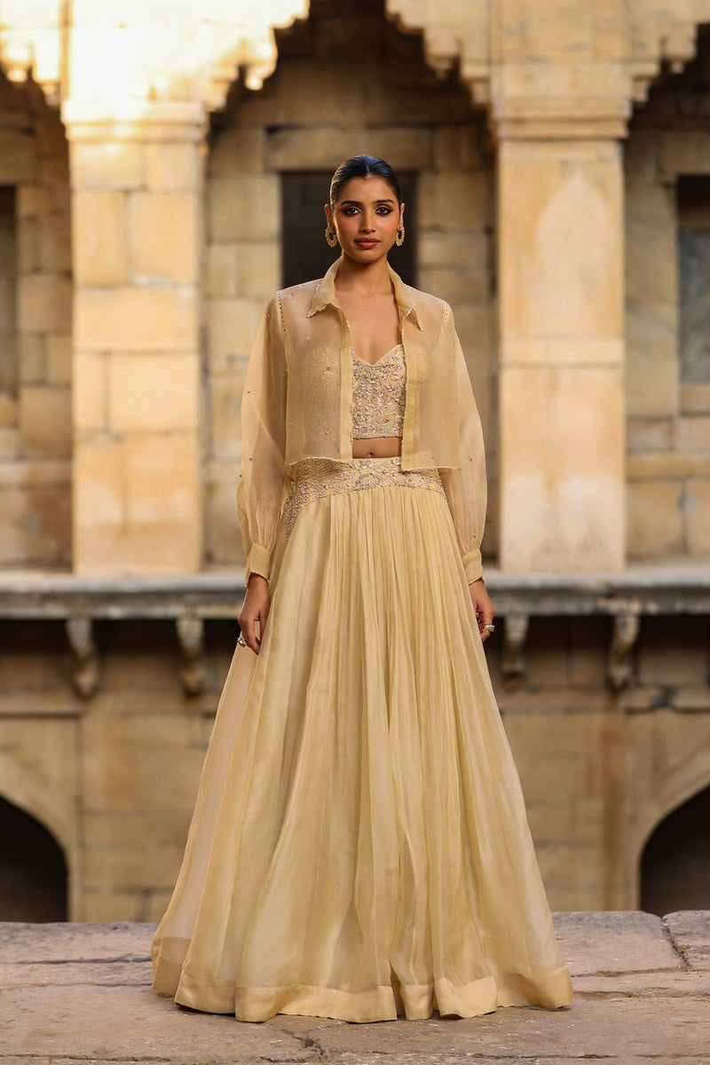 Vaayu Beige Jacket Lehenga Set organza lehenga sets by Niti Bothra in beige for women in Singapore