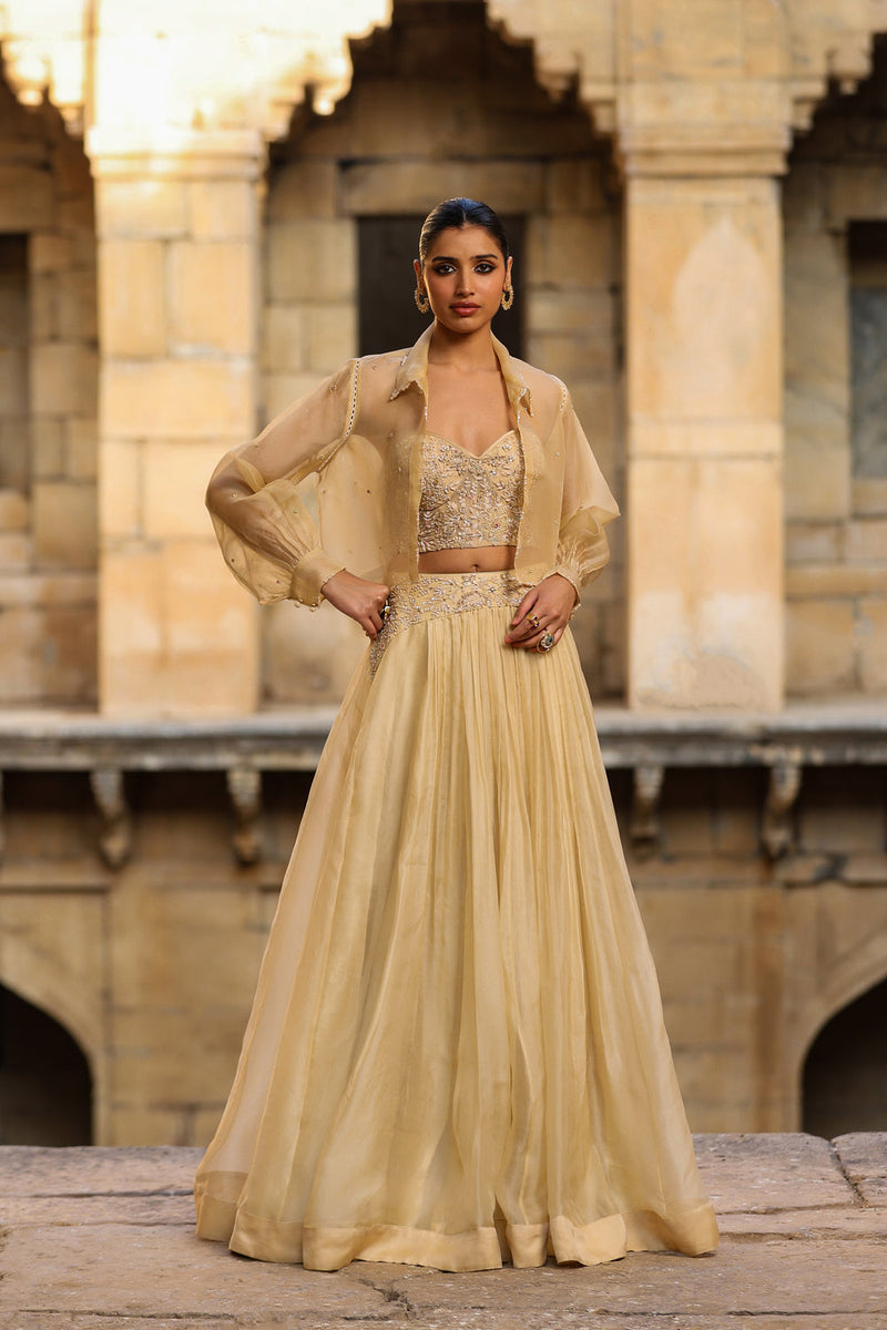 Vaayu Beige Jacket Lehenga Set organza lehenga sets by Niti Bothra in beige for women in Singapore