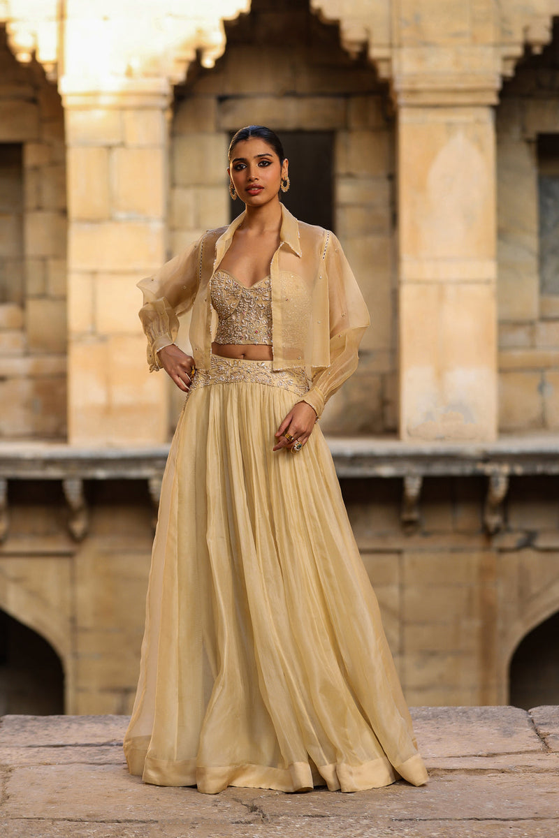 Vaayu Beige Jacket Lehenga Set organza lehenga sets by Niti Bothra in beige for women in Singapore
