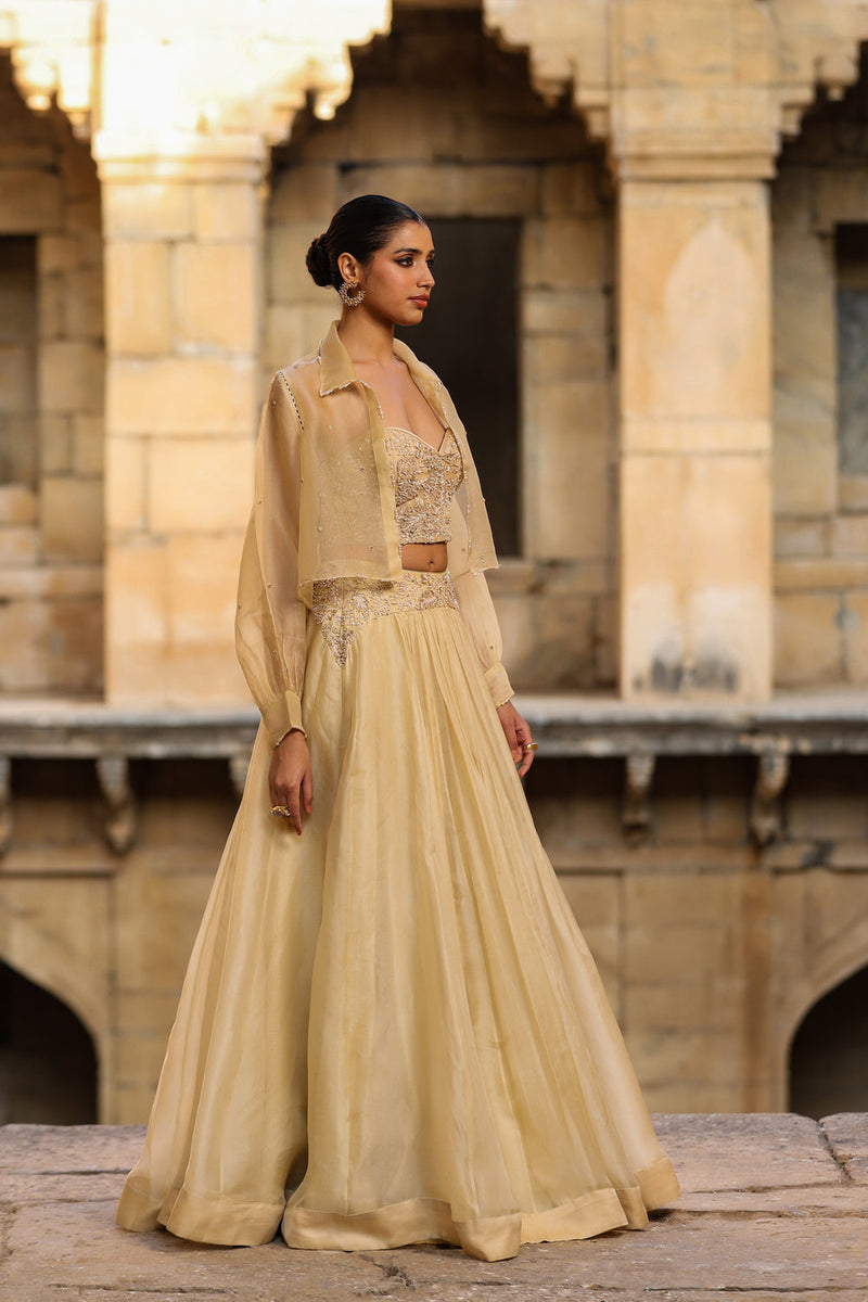 Vaayu Beige Jacket Lehenga Set organza lehenga sets by Niti Bothra in beige for women in Singapore