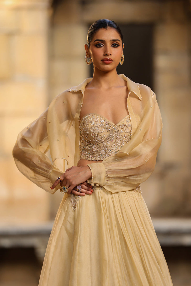 Vaayu Beige Jacket Lehenga Set organza lehenga sets by Niti Bothra in beige for women in Singapore