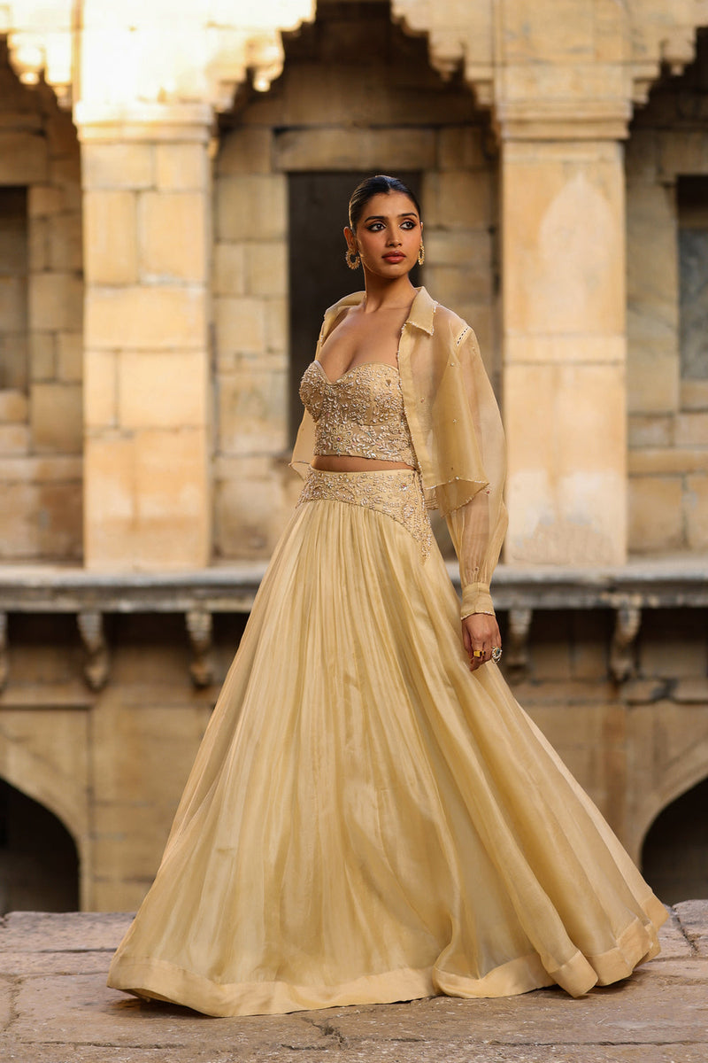 Vaayu Beige Jacket Lehenga Set organza lehenga sets by Niti Bothra in beige for women in Singapore