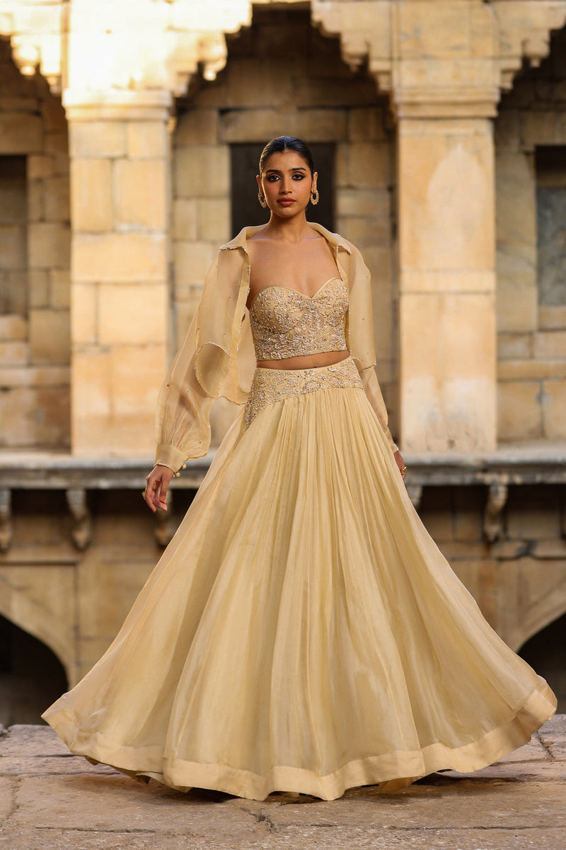 Vaayu Beige Jacket Lehenga Set organza lehenga sets by Niti Bothra in beige for women in Singapore