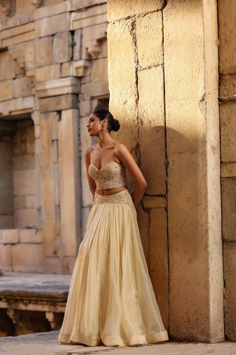 Vaayu Beige Jacket Lehenga Set organza lehenga sets by Niti Bothra in beige for women in Singapore
