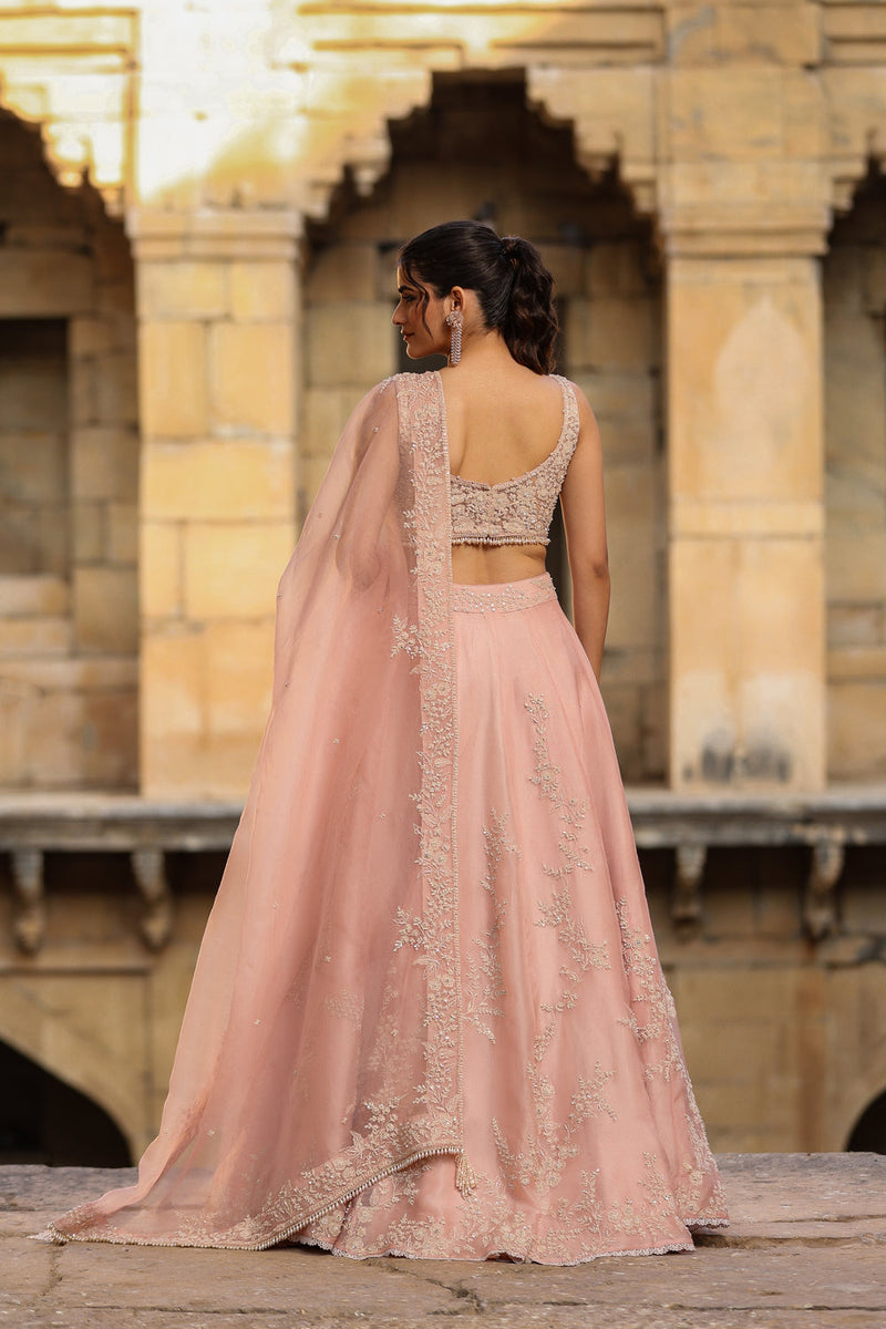 Vaayu Light Pink Jaal Lehenga Set organza lehenga sets by Niti Bothra in light pink for women in Singapore