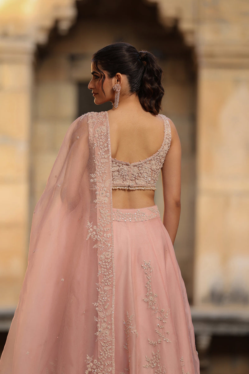 Vaayu Light Pink Jaal Lehenga Set organza lehenga sets by Niti Bothra in light pink for women in Singapore