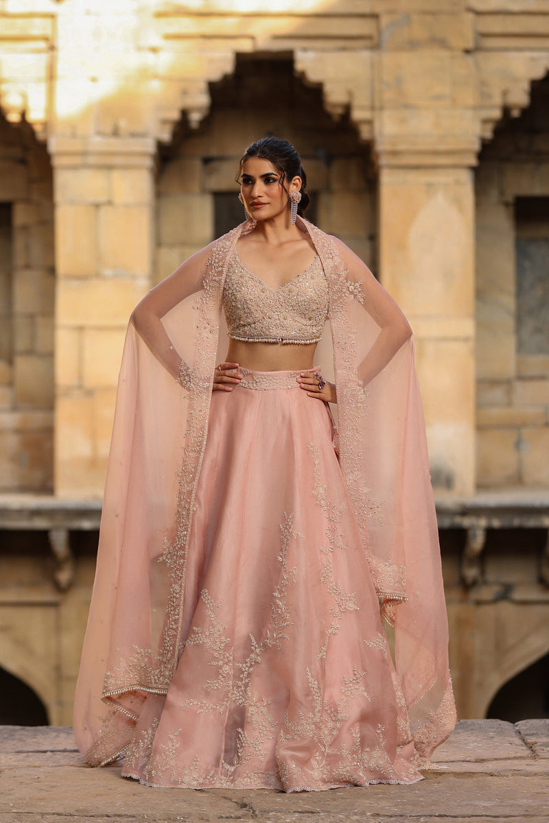 Vaayu Light Pink Jaal Lehenga Set organza lehenga sets by Niti Bothra in light pink for women in Singapore