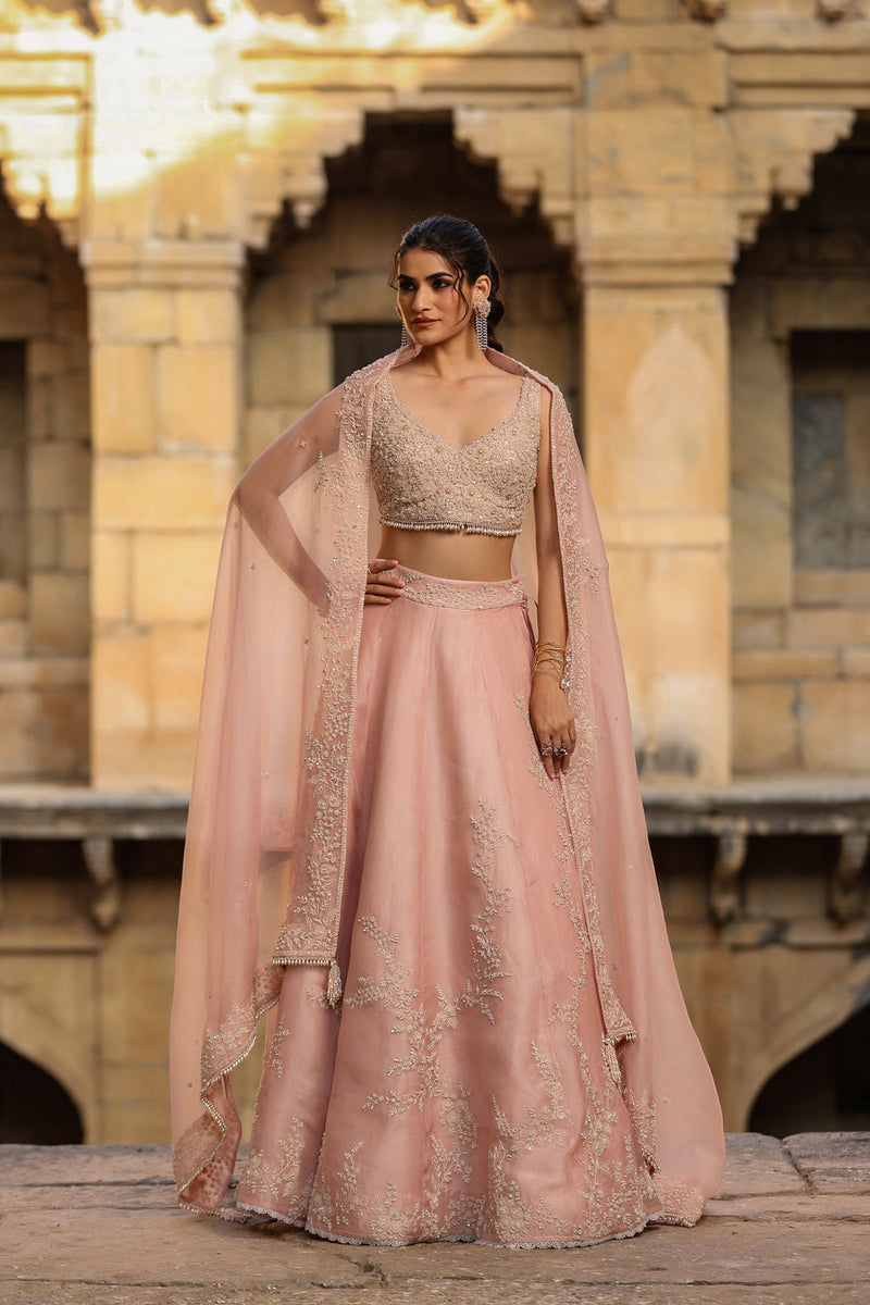 Vaayu Light Pink Jaal Lehenga Set organza lehenga sets by Niti Bothra in light pink for women in Singapore