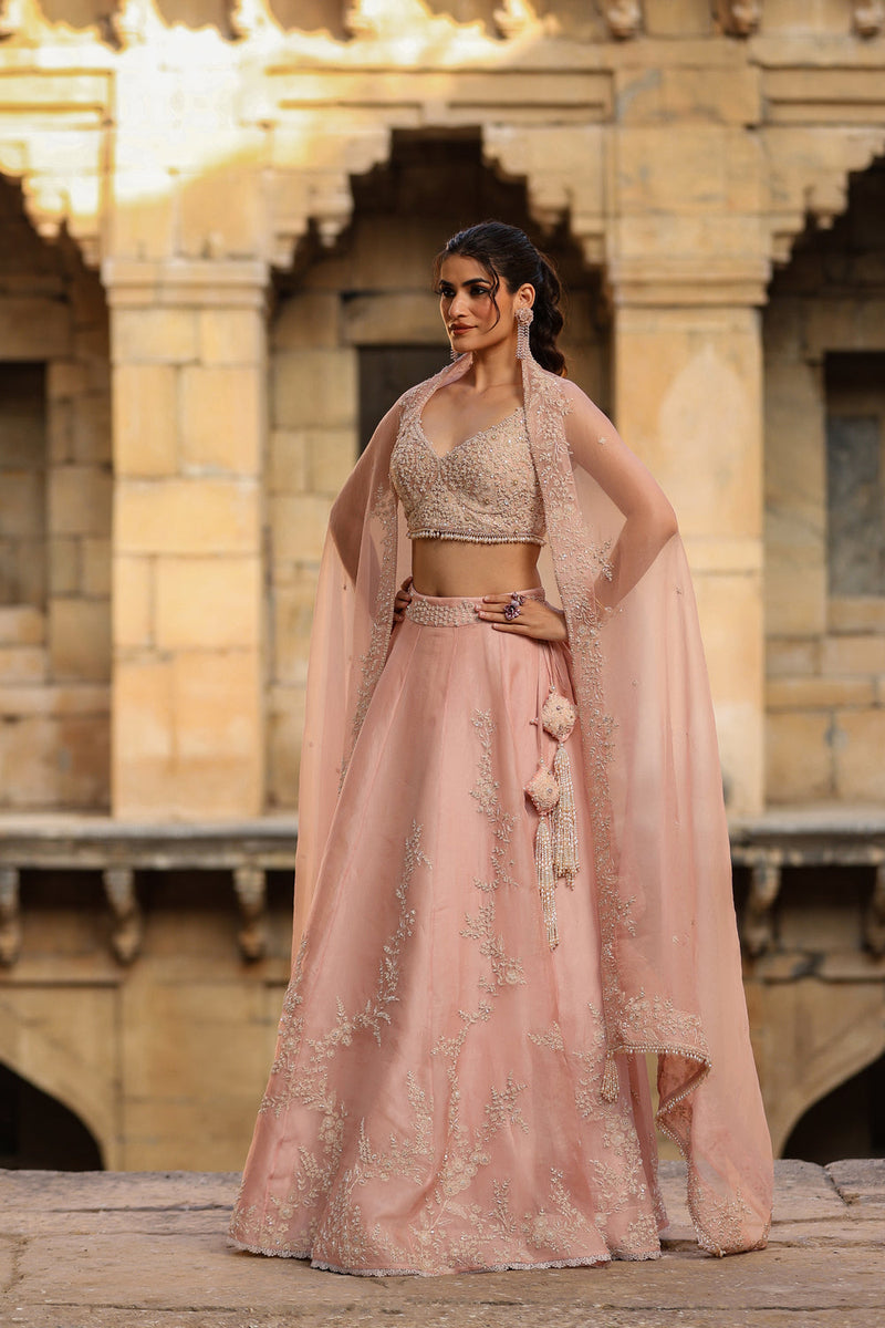 Vaayu Light Pink Jaal Lehenga Set organza lehenga sets by Niti Bothra in light pink for women in Singapore