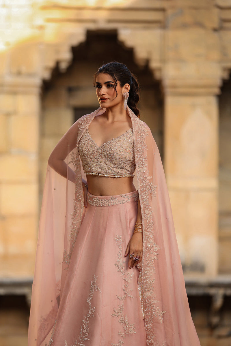 Vaayu Light Pink Jaal Lehenga Set organza lehenga sets by Niti Bothra in light pink for women in Singapore