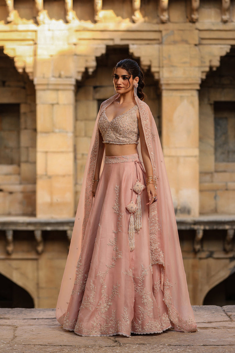 Vaayu Light Pink Jaal Lehenga Set organza lehenga sets by Niti Bothra in light pink for women in Singapore