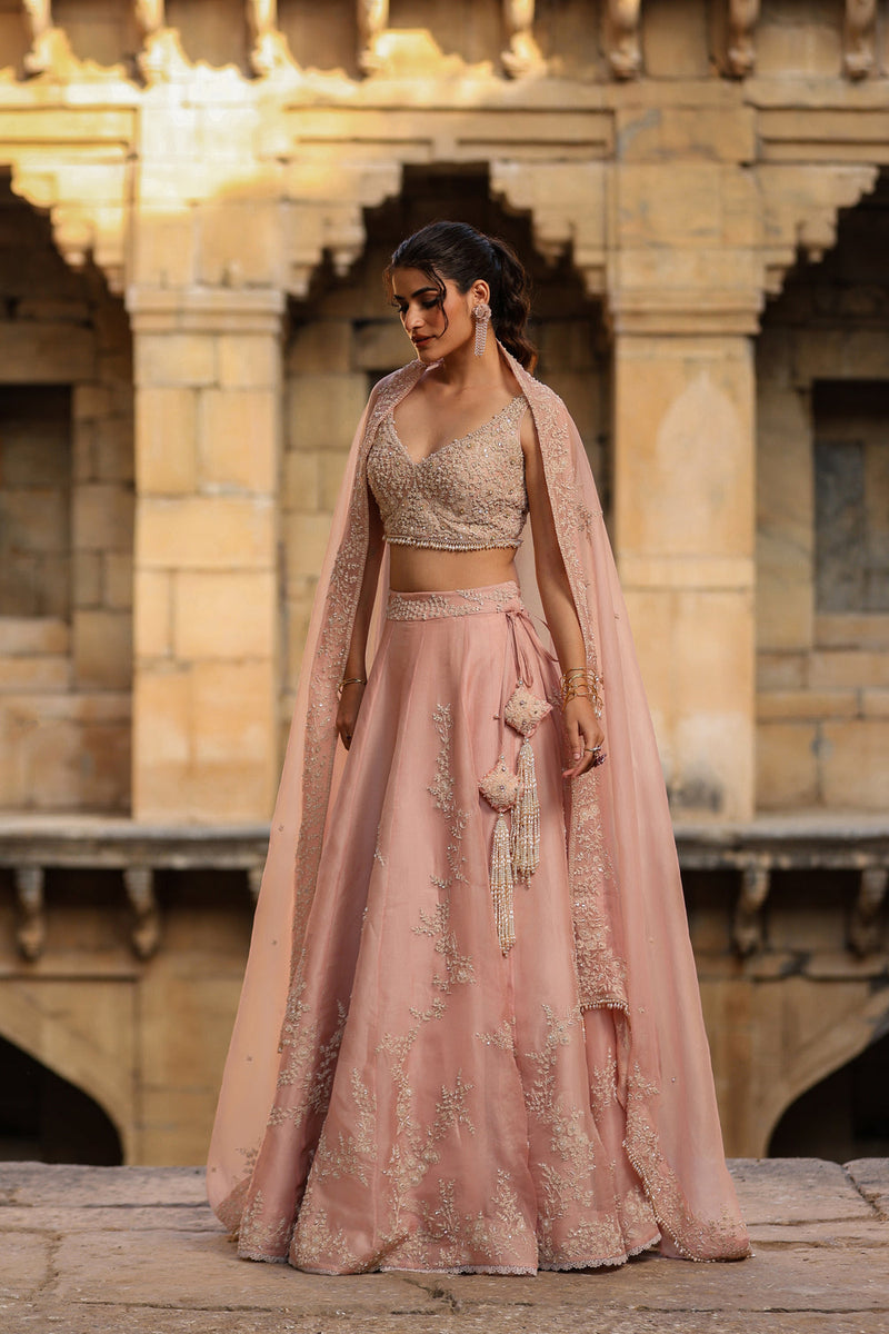 Vaayu Light Pink Jaal Lehenga Set organza lehenga sets by Niti Bothra in light pink for women in Singapore