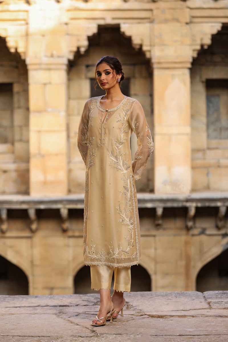Vaayu Beige Phool Patti Kurta Set organza , silk tencel kurta/kurta set by Niti Bothra in beige for women in Singapore