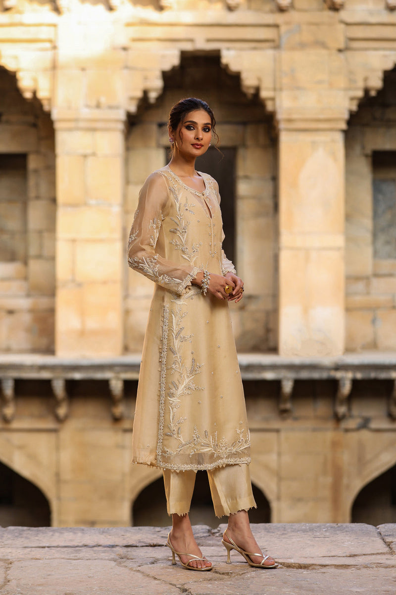 Vaayu Beige Phool Patti Kurta Set organza , silk tencel kurta/kurta set by Niti Bothra in beige for women in Singapore