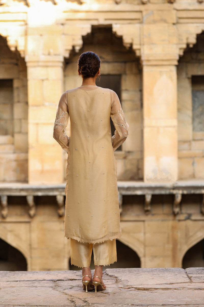 Vaayu Beige Phool Patti Kurta Set organza , silk tencel kurta/kurta set by Niti Bothra in beige for women in Singapore