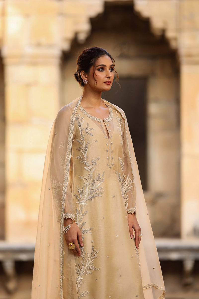 Vaayu Beige Phool Patti Kurta Set organza , silk tencel kurta/kurta set by Niti Bothra in beige for women in Singapore