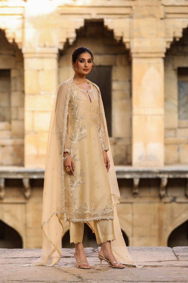 Vaayu Beige Phool Patti Kurta Set organza , silk tencel kurta/kurta set by Niti Bothra in beige for women in Singapore